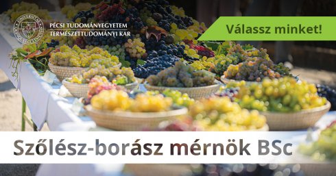 Szőlész-borász mérnök BSc